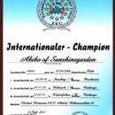 Akiba-Internationaler Champion 
